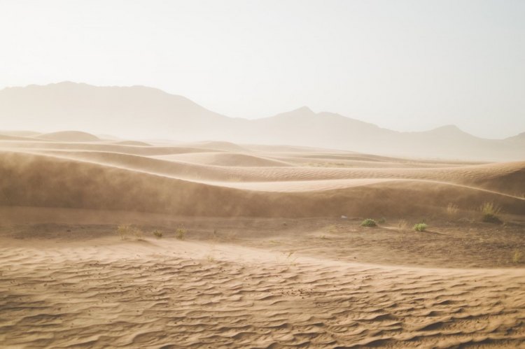 Минприроды: «Появление в Беларуси песчаных бурь и дюн – результат человеческого воздействия»