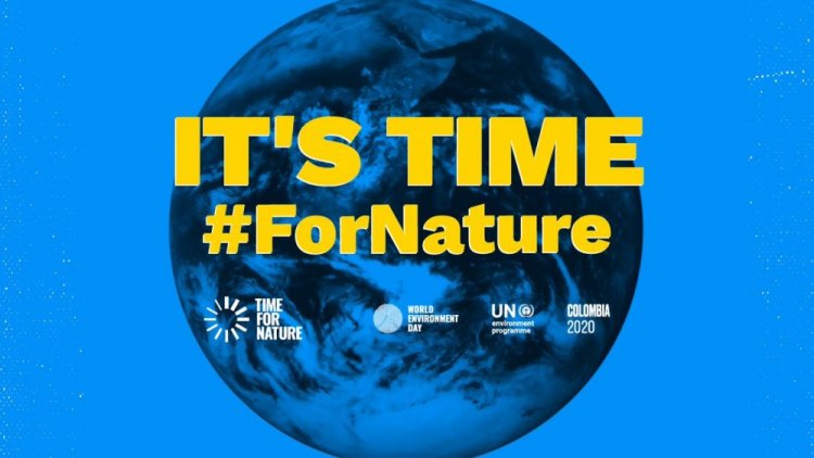 Тема Дня окружающей среды 2020 – «Время Природы»