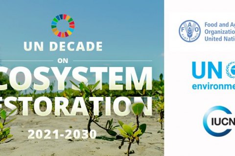 Десятилетие ООН по восстановлению экосистем 2021 - 2030 гг.