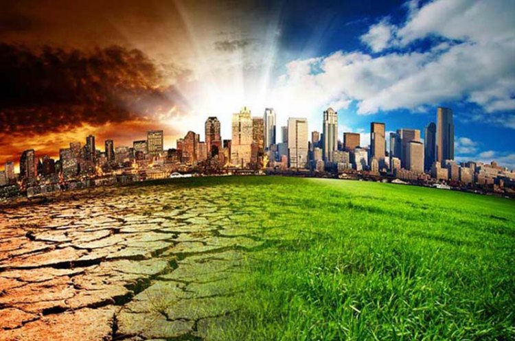 Климат топит бизнес