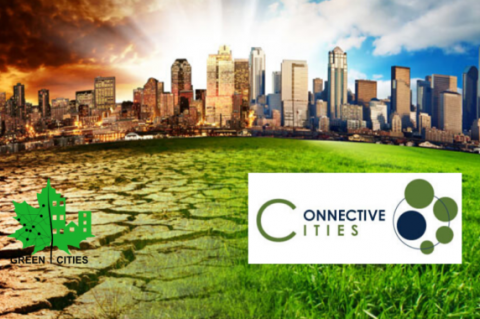 «Зеленые города» и Connective Cities обсуждают устойчивость городского развития к изменению климата